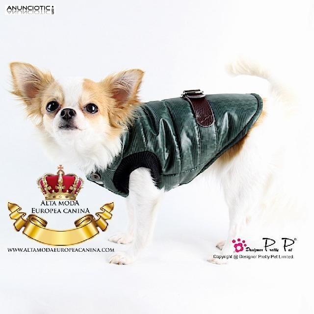 Ropa de Diseño para Perros.