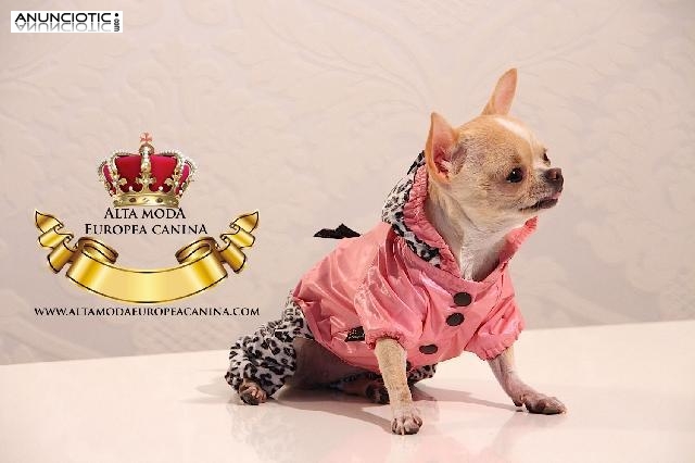 Moda Perros, tienda canina