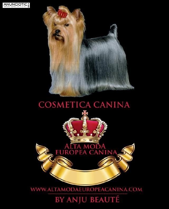Cosmetica Canina para Yorkshire Terrier