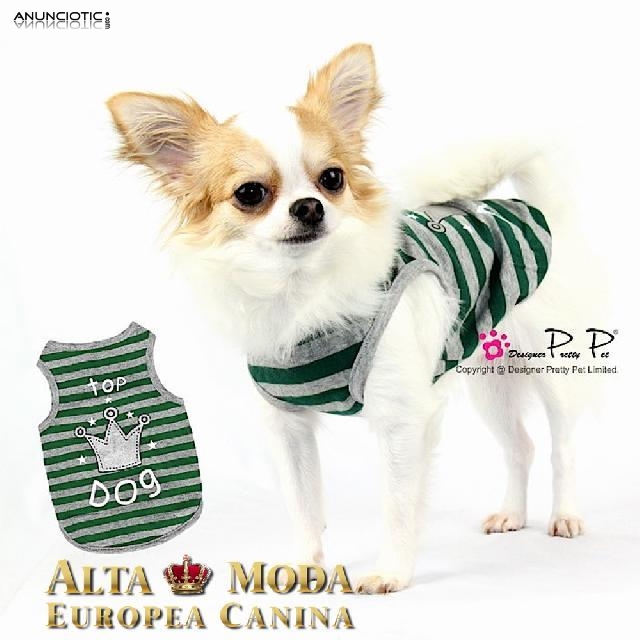 Primavera Verano en Ropa para Perros