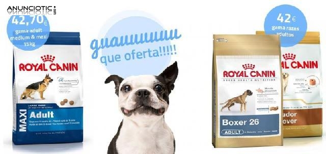 Oferton royal canin golden adulto12 kg 43 euros 