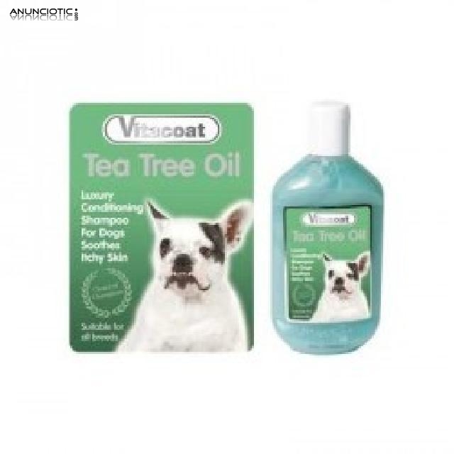 Tea tree oil champú medicinal para perros