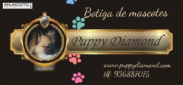 Nueva tienda de mascotas puppydiamond