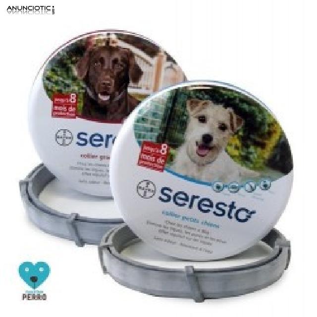 Seresto collar antiparasitario 8 meses