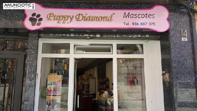 Puppydiamond boutique de mascotas