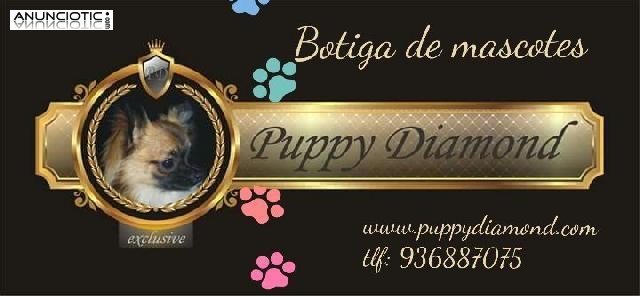 Puppydiamond botiga de mascotes