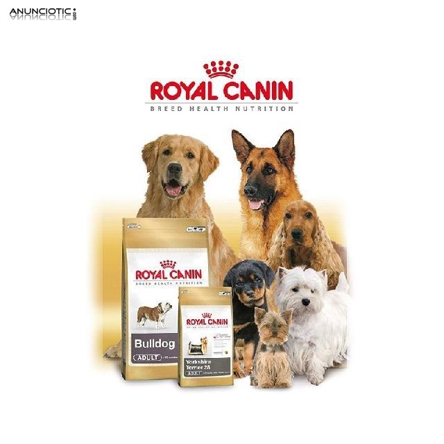 Oferton royal canin golden adulto12 kg 43 euros 