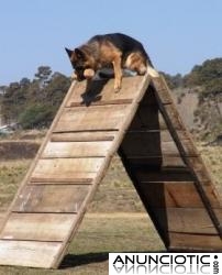 ADIESTRADOR CANINO NAVARKAN