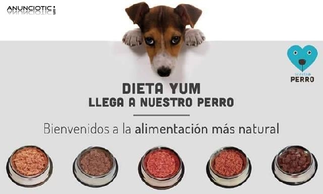 Dieta yum alimentacion natural perros 