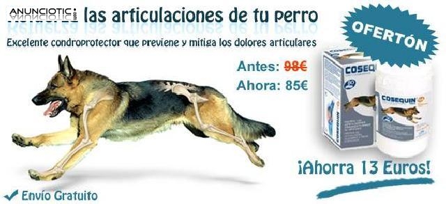 Protege las articulaciones de tu perro - cosequin 