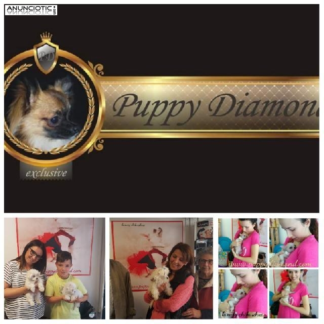  puppydiamond  628939255 