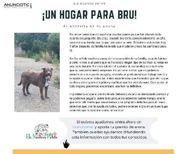 Un hogar para BRU