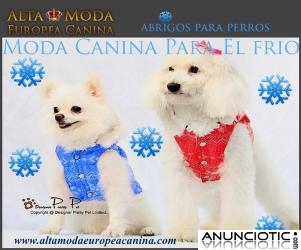 Viento, agua, frio, nieve... abrigos para perros