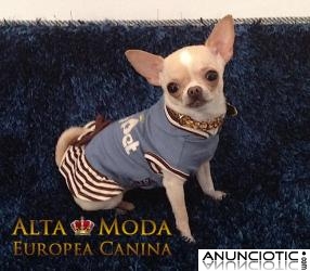 Vestidos para Perritas, unicos y exclusivos