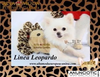 Ropa y Accesorios para Perros, Descubre la linea leopardo