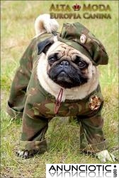 Ropa para Perros, ropa camuflaje perros