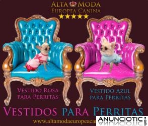 Ropa para Perros, Moda Canina, Ropa Perros