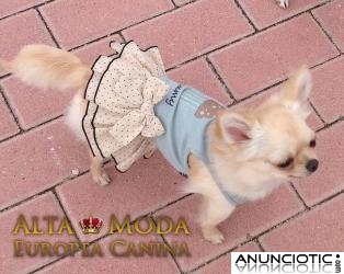 Vestidos para Perritas, vestidos celebraciones perritas