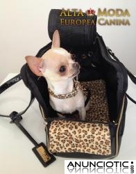 Bolsos para Perros, Bolsos Perros