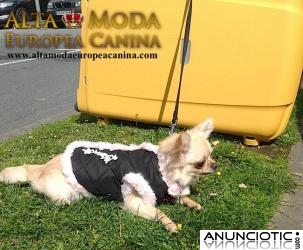 Ropa y Complementos para Chihuahuas