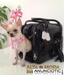 Tienda Canina Online, Accesorios Caninos de Alta Calidad