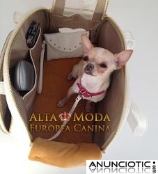 Bolsos para Perros. Bolsos Viaje Perros