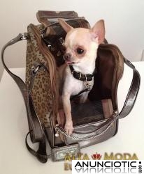 Bolsos para Perros. Alta Moda Canina