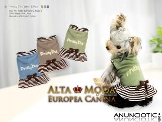 Articulos para Yorkshire. Cuidados del Yorkshire Terrier