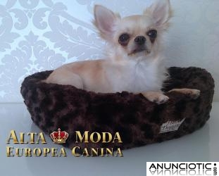 Camas y Sofas de Lujo para Perros