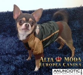 Ropa para Perros en Promocion