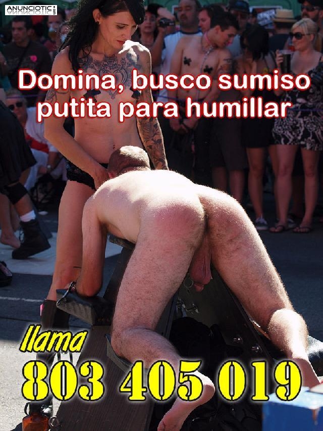 Domina humilla. Quiero ver una polla dentro de tu boca, esclavo