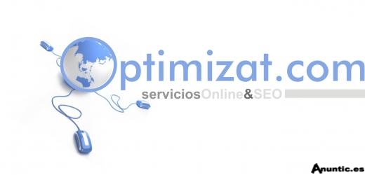 posicionamiento web