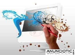 DISEÑADOR WEB PROFESIONAL