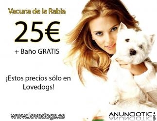 Centro Veterinario 15%dto vacunas