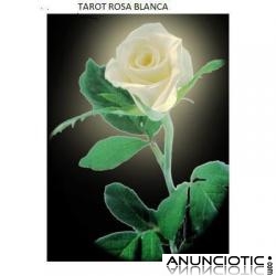 ROSA BLANCA 10 EUROS X 15 MINUTOS NO GABINETE 