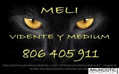 VIDENTE MEDIUM MELI. Sincera y directa.  806405911