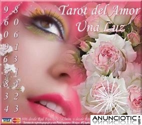 Tarot del Amor Visa  7 X 15m y 806 a 0,42/m