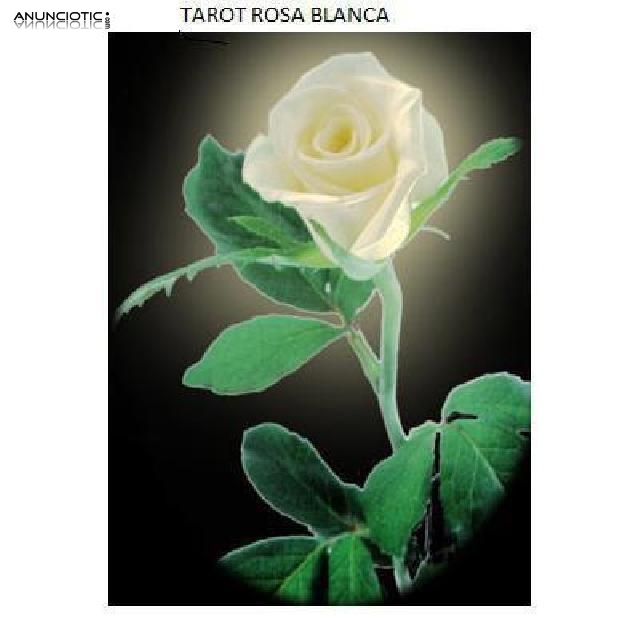 TAROTROSA  BLANCA VISAS 10 EUROS X 15 MINUTOS SOLO CON TU VOZ NO GANIBINETE