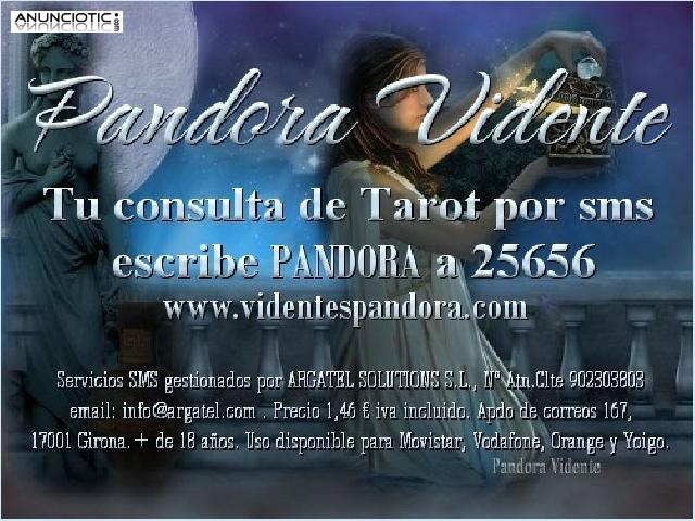 VIDENTES PANDORA