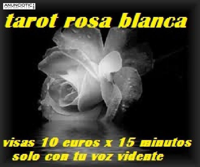 BARATO TAROT ROSA BLANCA VISAS 10 EUROS X 15 MINUTOS  NO GABINETE VIDENTE N