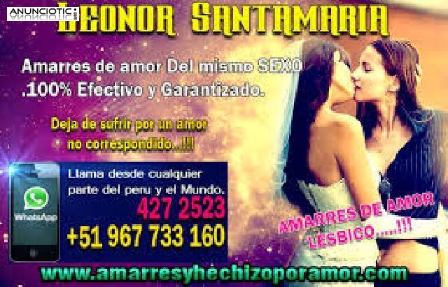 AMARRES ETERNOS Y TEMPORALES DEL MISMO SEXO 