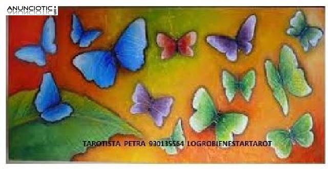 Petra  tarot sincero economico 930135564 LBT