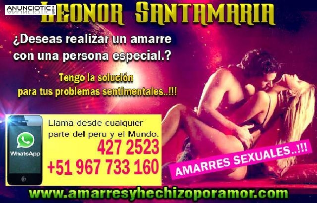 AMARRES SEXUALES 