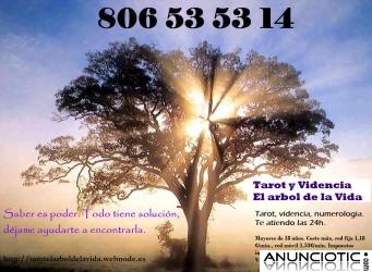 Tarot y Videncia El Arbol De La Vida 806-53-53-14