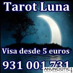 tarot visas economicas 5 e 10 min 7 e 15 min 931 001 731