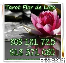 TAROT ECONOMICO FLOR DE LOTO SOLO 0,42 CM MIN. VISA 5  10 MTOS.