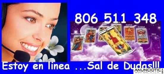 806 511 348 solo videncia