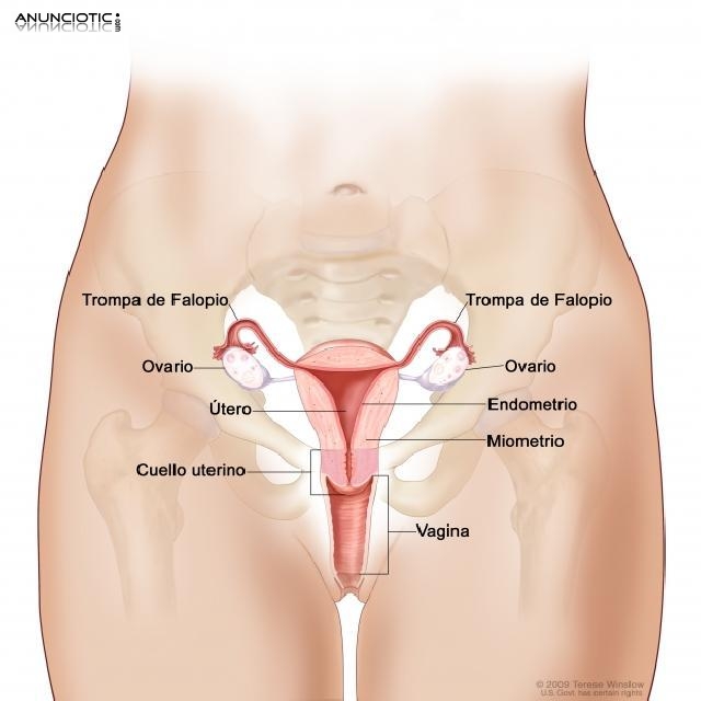 Sanación de masoterapia profunda para mujeres