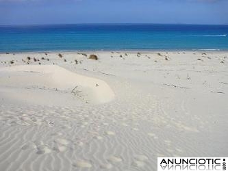 Se alquilan apartamentos en la playa; ubicados en la costa occidental de l Cerdeña