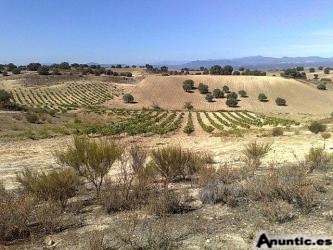 Finca 10.500m2 a 40Km Madrid con PERMISO PARA CONSTRUIR y VISTAS A LA SIERRA.Solo 30.000 Euros